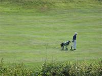 Golfer