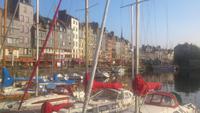 Honfleur