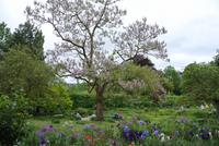 Im Garten von Monet