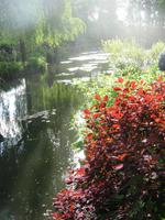In Giverny