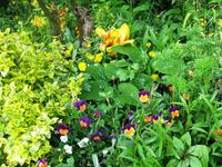 In Giverny