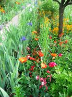 In Giverny