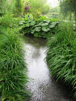 In Giverny