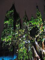 Rouen, Kathedrale