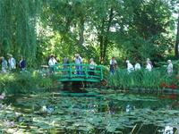 Seerosenteich von Monet