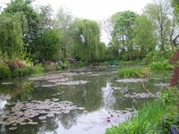 Seerosenteich