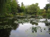 Seerosenteich