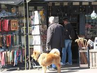Souvenirladen mit Hund