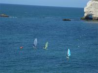 Windsurfer