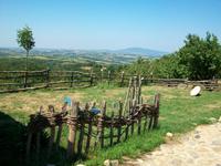 Orasac, Zentralserbien (Weites Land)