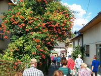 Eberhardt- Reisegruppe in Visegrad