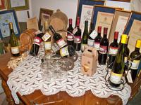 Sremski Karlovci, Weinprobe