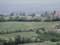 Blick vom Restaurant