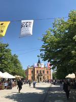 Novi Sad 