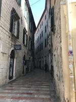 Kotor