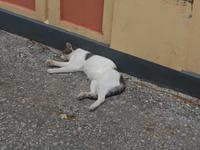 Trebinje - Ich will meine Ruhe