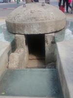 Bunkerpilz in Tirana