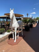 Der Schimmel in der Festung Petrovaradin in Novi Sad