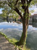 Am Fluss Trebisnjica