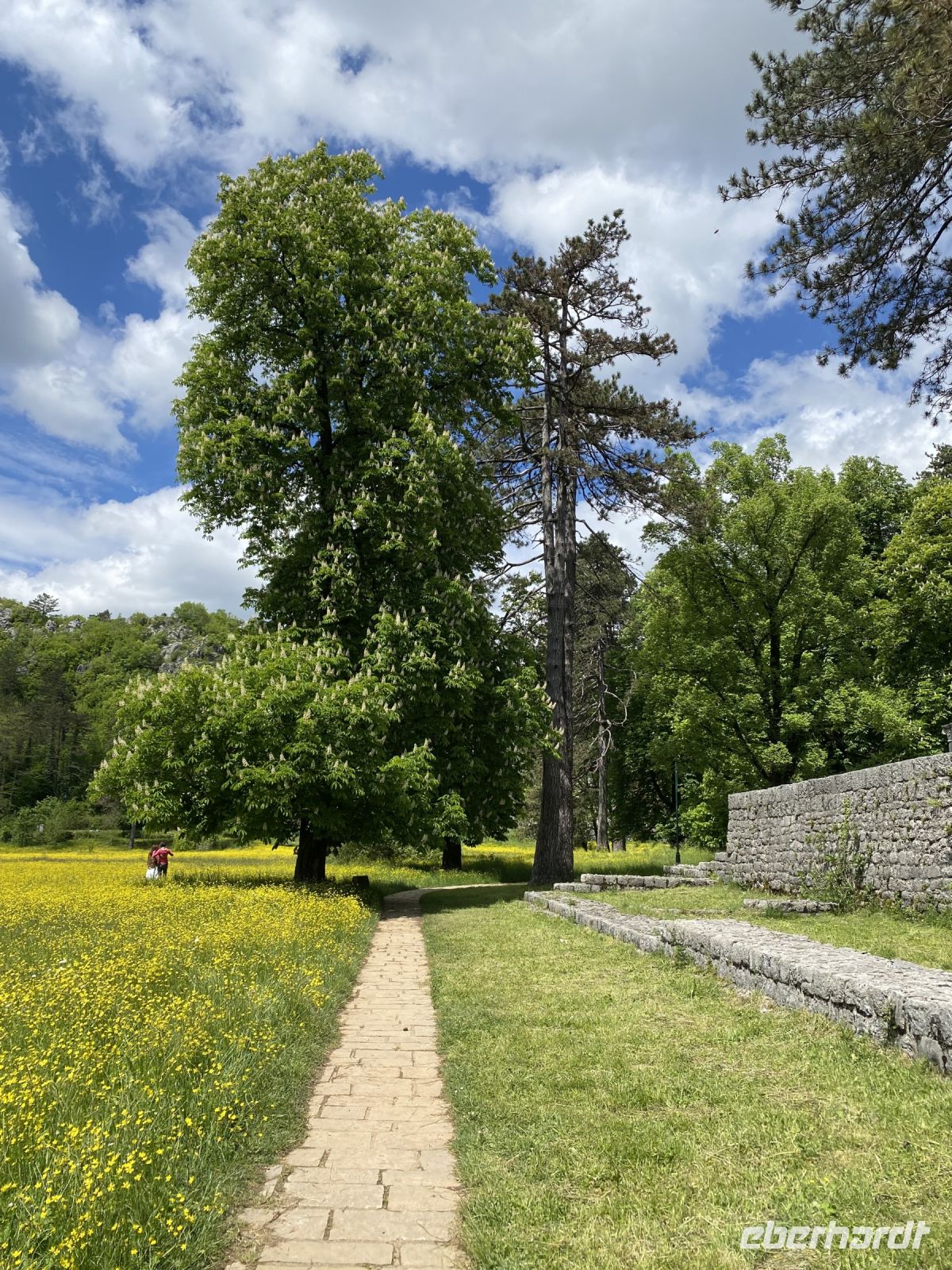 Frühling in Cetinje