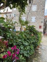 Altstadtgasse Budva