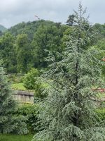 Blick in den Park von Cetinje