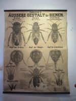 Weingut in Sremski Karlovci