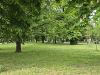 Tag 2 - Belgrad - Eindrücke - Park Festung Kalemegdan (2)