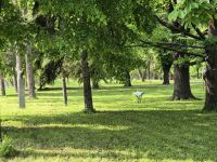 Tag 2 - Belgrad - Eindrücke - Park Festung Kalemegdan (3)