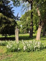 Tag 2 - Belgrad - Eindrücke - Park Festung Kalemegdan (5)