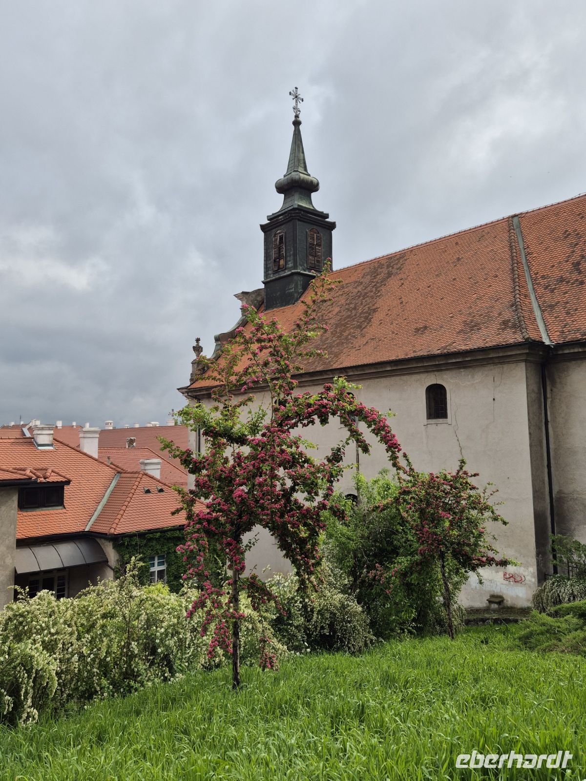 Tag 2 - Petrovaradin - Aufstieg zur Festung (4)