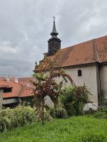 Tag 2 - Petrovaradin - Aufstieg zur Festung (4)