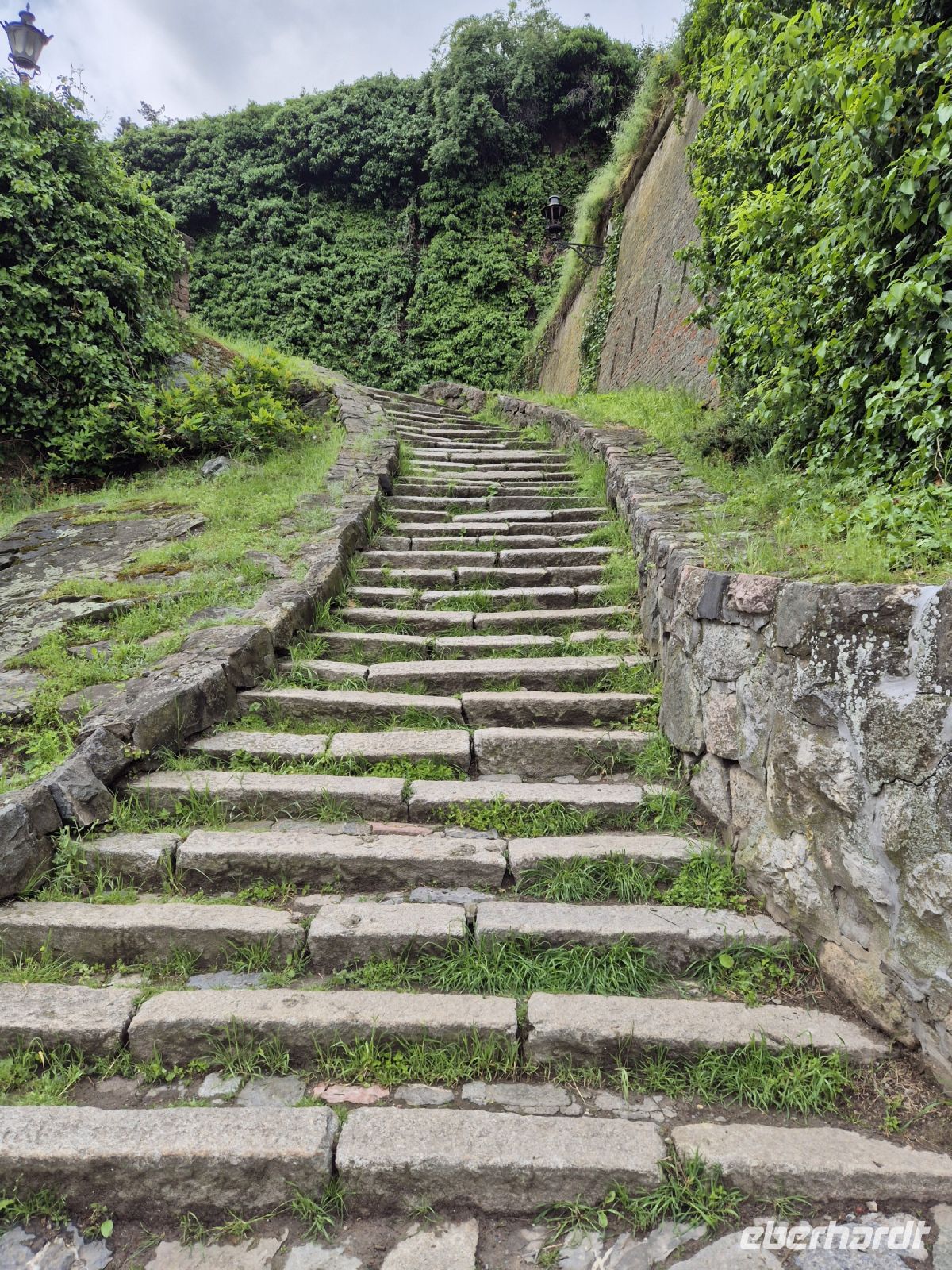 Tag 2 - Petrovaradin - Aufstieg zur Festung (5)