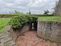Tag 2 - Petrovaradin - Aufstieg zur Festung (7)