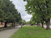 Tag 2 - Sremski Karlovci - Eindrücke (13)