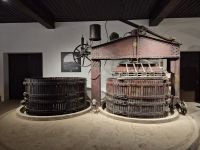 Tag 3 - Topola - Weinverkostung (3)