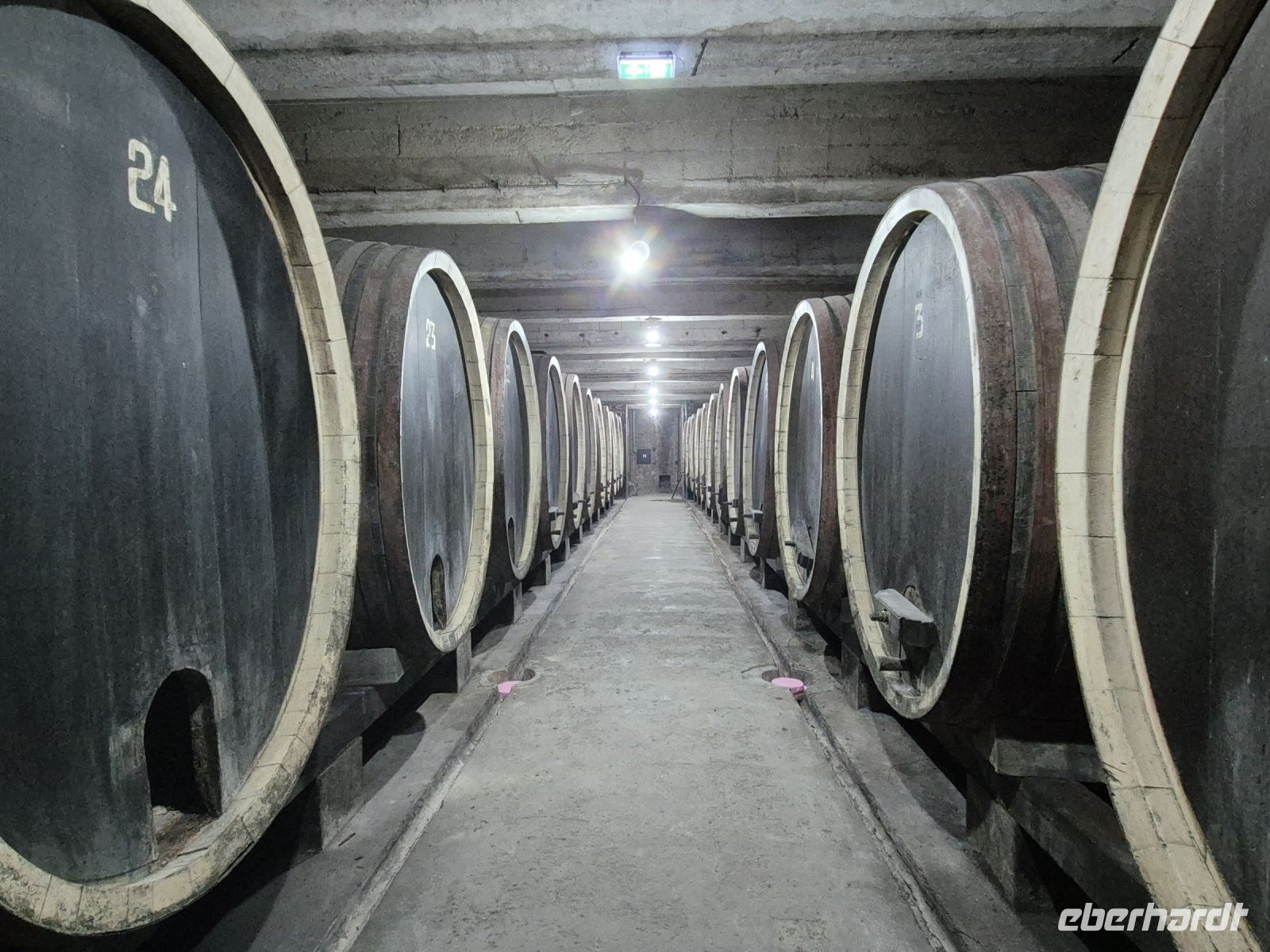 Tag 3 - Topola - Weinverkostung (7)