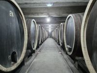 Tag 3 - Topola - Weinverkostung (7)