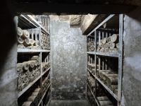 Tag 3 - Topola - Weinverkostung (8)