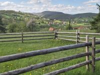 Tag 4 - Sirogojno - Ethno-Freilichtmuseum (6)