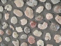 Tag 6 - Sarajevo - Stadtführung - Eindrücke (6)