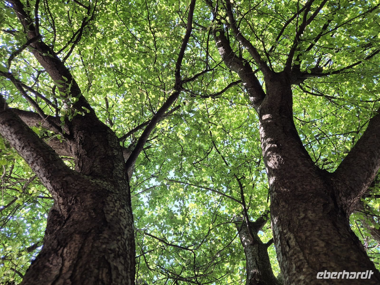 Tag 7 - Mostar - Stadtbesichtigung (7)