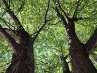 Tag 7 - Mostar - Stadtbesichtigung (7)