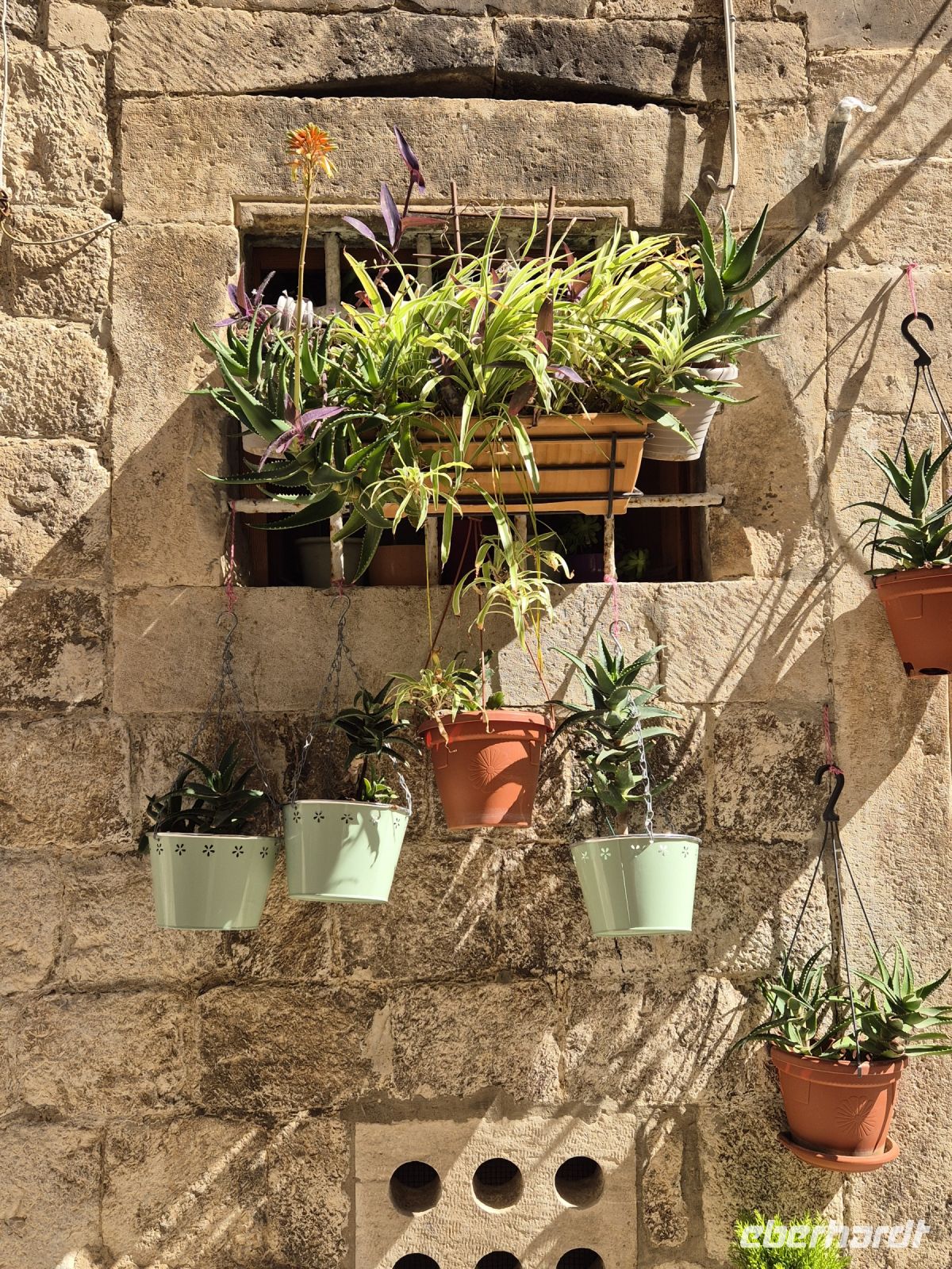 Tag 8 - Dubrovnik - Eindrücke   (15)