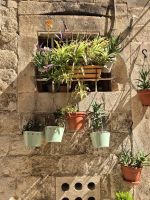 Tag 8 - Dubrovnik - Eindrücke   (15)