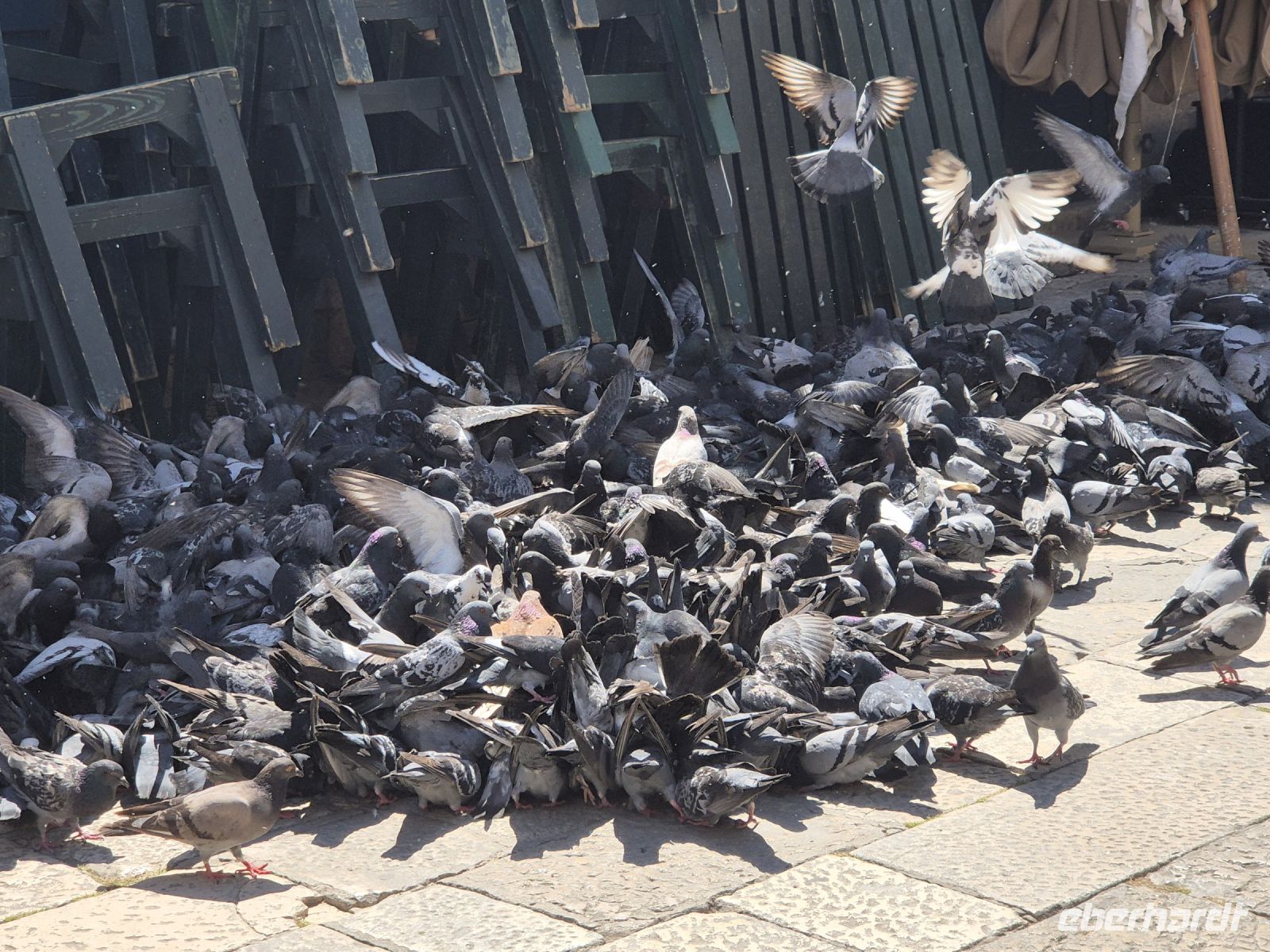 Tag 8 - Dubrovnik - Eindrücke   (26)