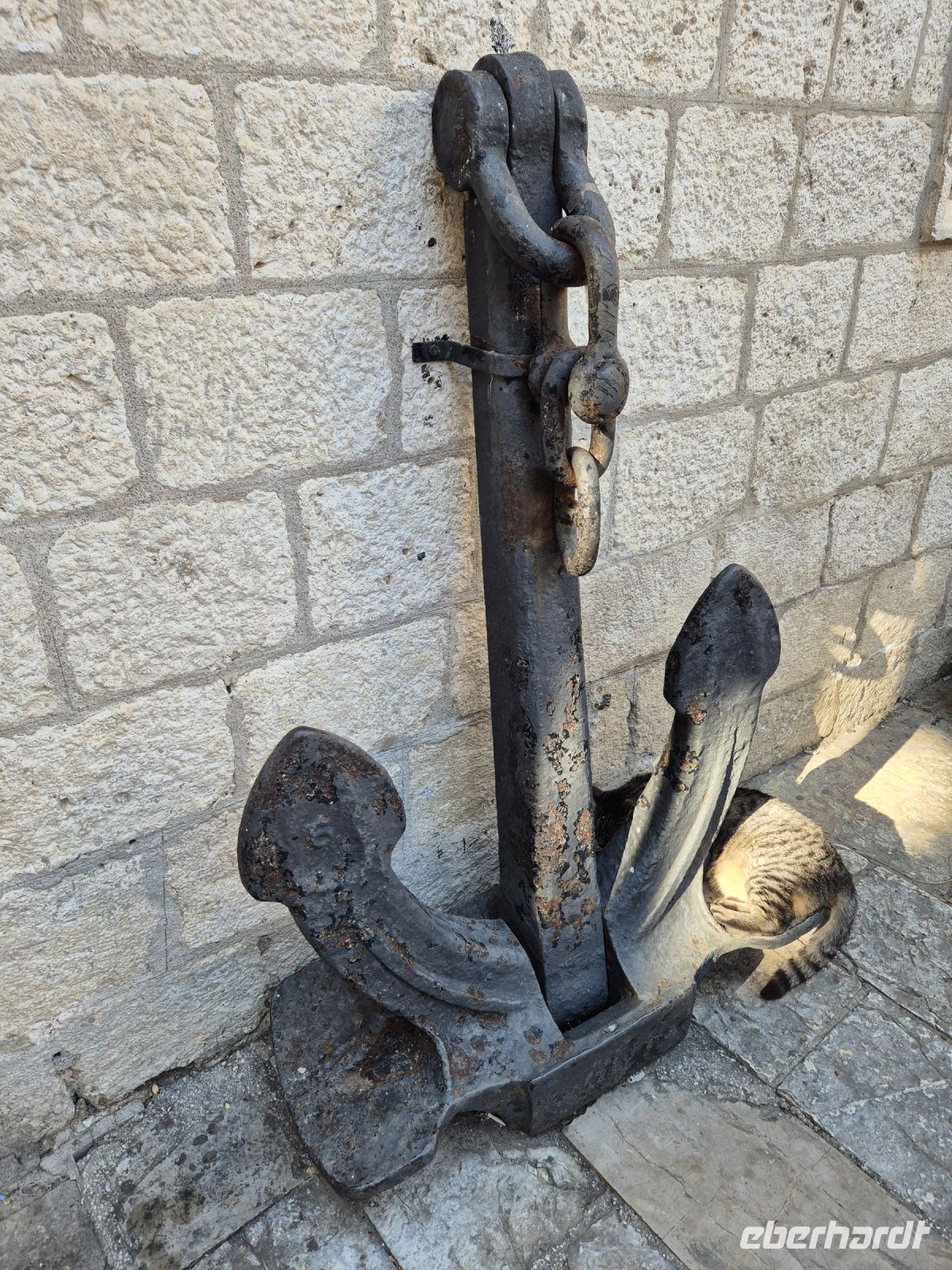 Tag 8 - Stadtbesichtigung - Kotor - Stadt der Katzen (2)