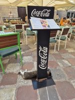 Tag 8 - Stadtbesichtigung - Kotor - Stadt der Katzen (4)