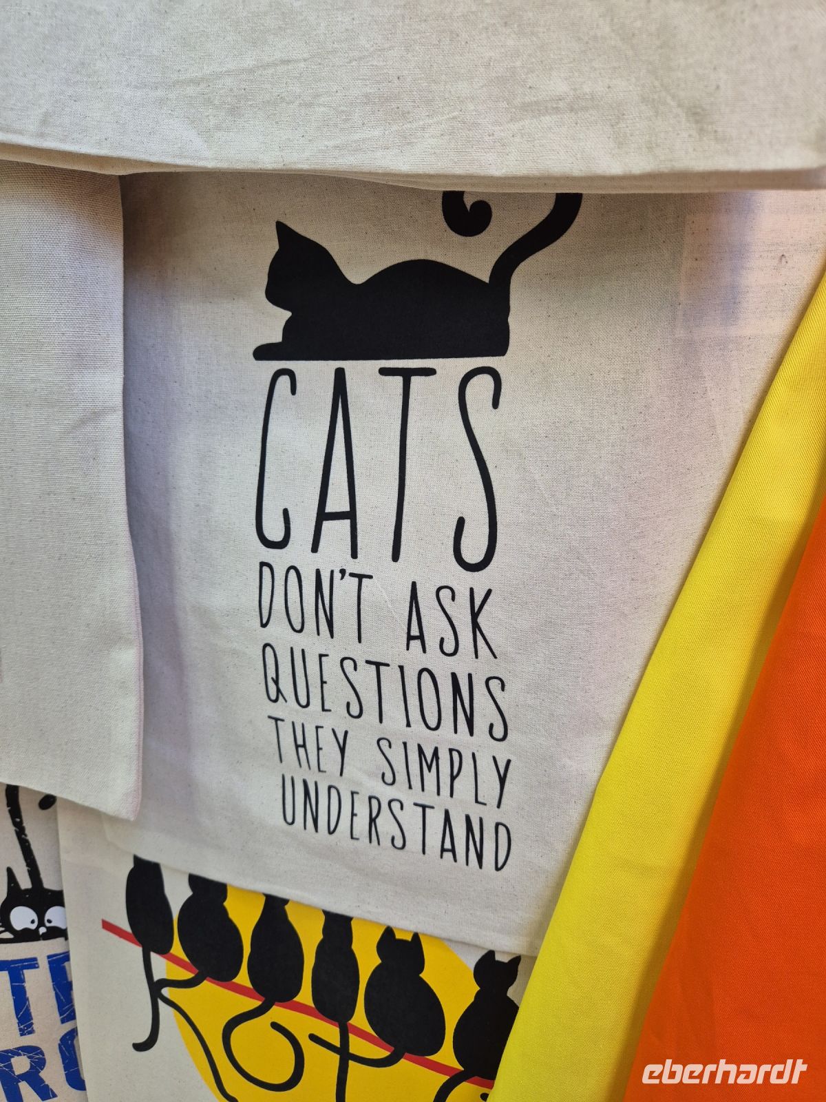 Tag 8 - Stadtbesichtigung - Kotor - Stadt der Katzen (5)