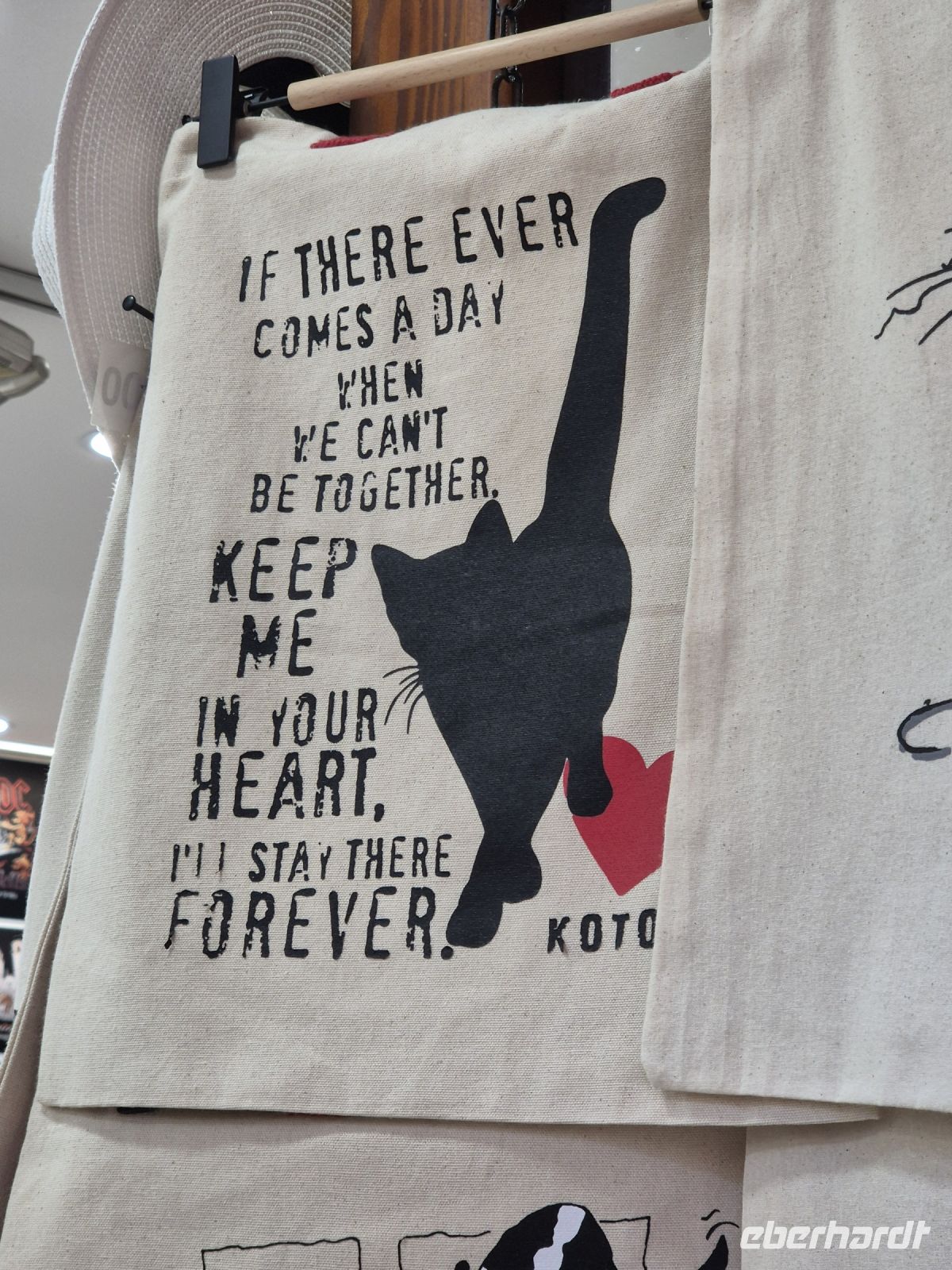 Tag 8 - Stadtbesichtigung - Kotor - Stadt der Katzen (6)